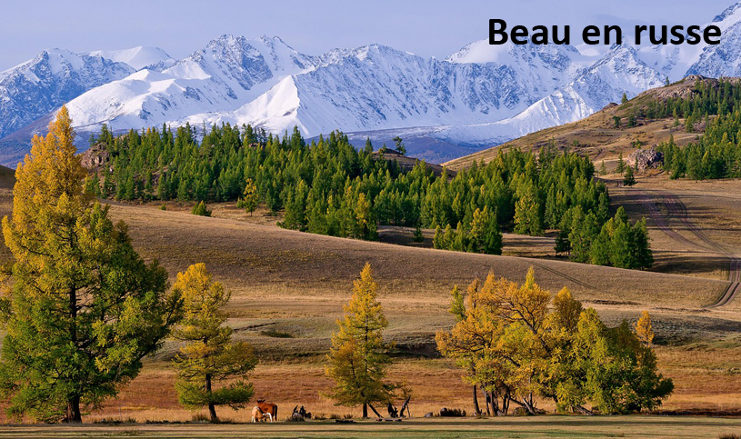 Dictée en Russe pour débutant: Les Adjectifs (Beau/Belle/Beaux) 